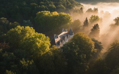 Inflation & Volatilité : Le retour en force des actifs tangibles (Forêts & Vignobles)